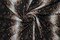 1 Yard Mocha Snake Print DTY Brushed Knit Fabric Soft Stretch Lightweight 58/60" Wide